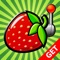 A fresh fill up of fruity goodness for your favorite fruit swapper