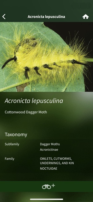 Caterpillar Id USA East Coast(圖5)-速報App