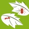We have trained a machine learning model to detect plant diseases and pests with photos