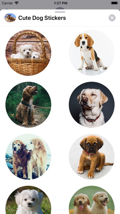 Cute Dog Sticker Set