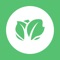Kabbage® simplifies small business cash flow management