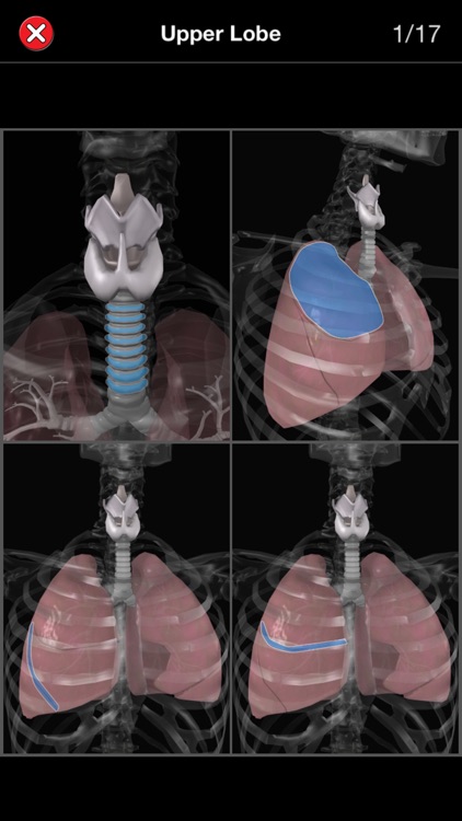 Anatomy Quiz Pro screenshot-4