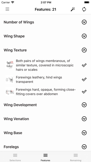 Key to Insect Orders - Revised(圖4)-速報App