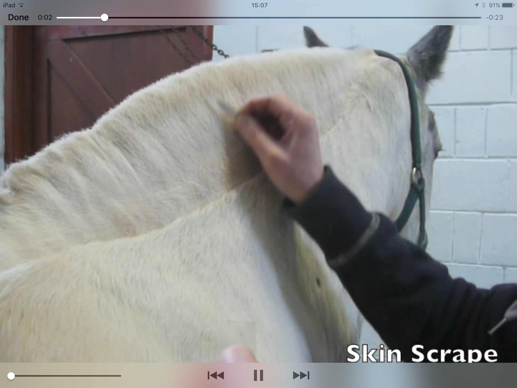 Equine Dermatology screenshot 4