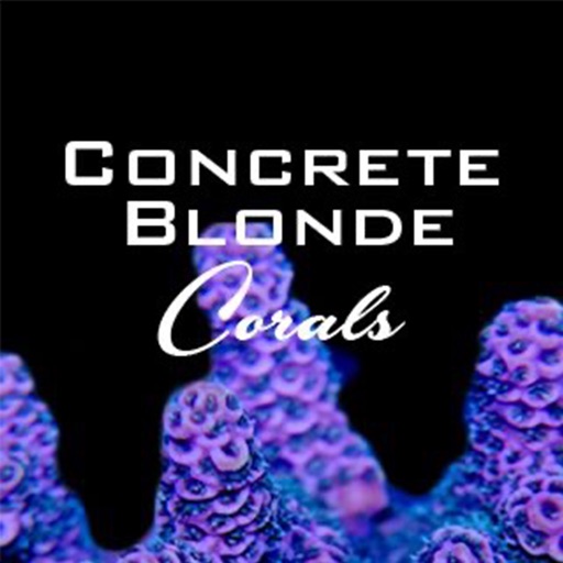 Concrete Blonde Corals Store