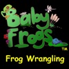 Baby Frogs - Frog Wrangling