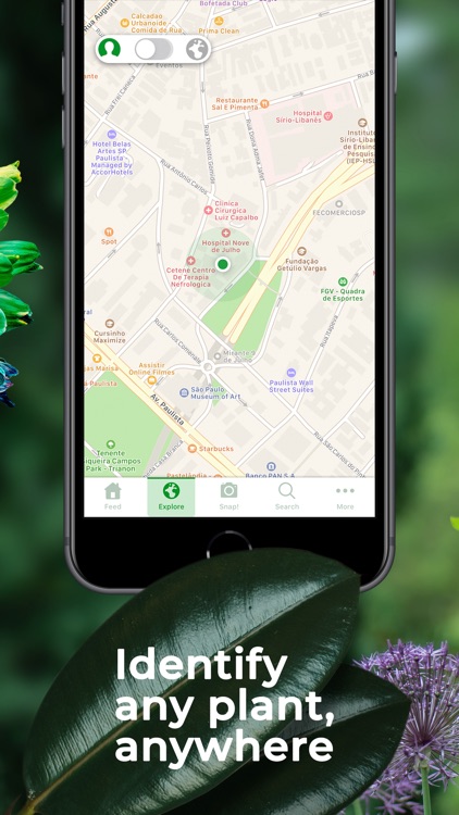 PlantSnap - identify plants screenshot-4