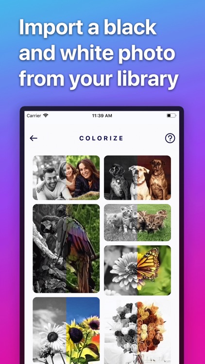 Colorize: Color B&W Photo Art