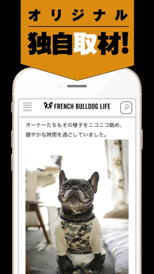 French Bulldog Life(圖3)-速報App