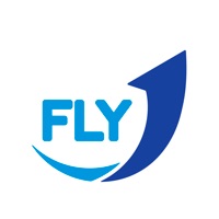 FLYONE на пк