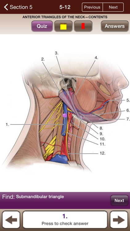 Lange Anatomy Flash Cards screenshot-3