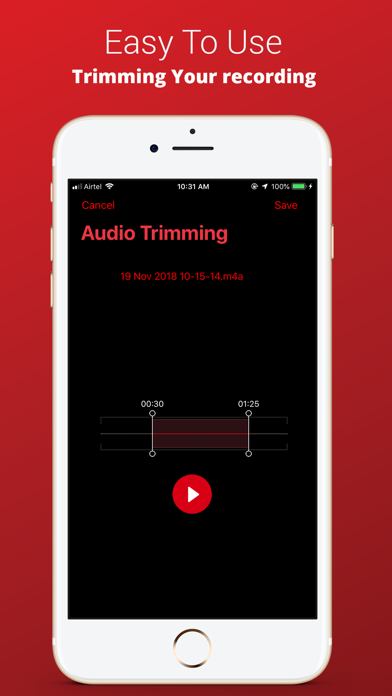 Audio Recorder Plus Pro Screenshot 6