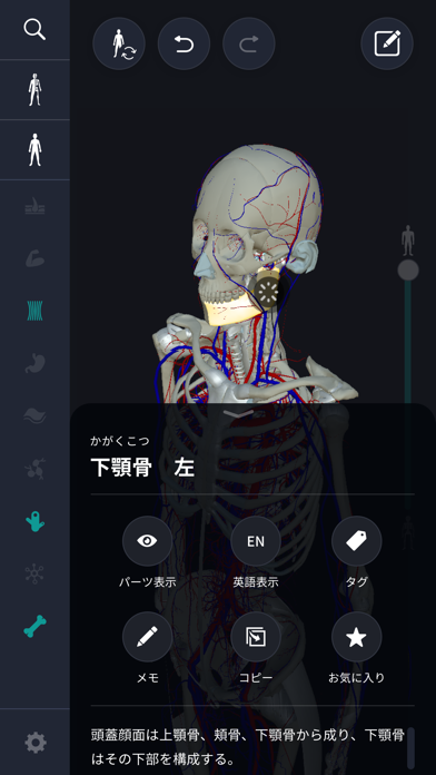 3D人体解剖学 teamLabBody2020 screenshot1