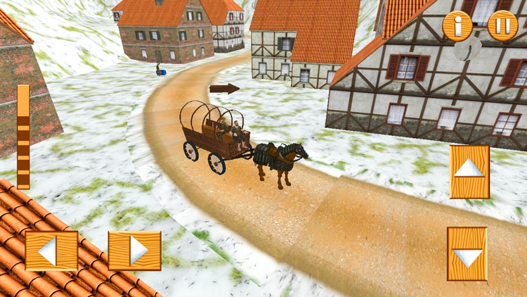 My Horse Buggy Transportation