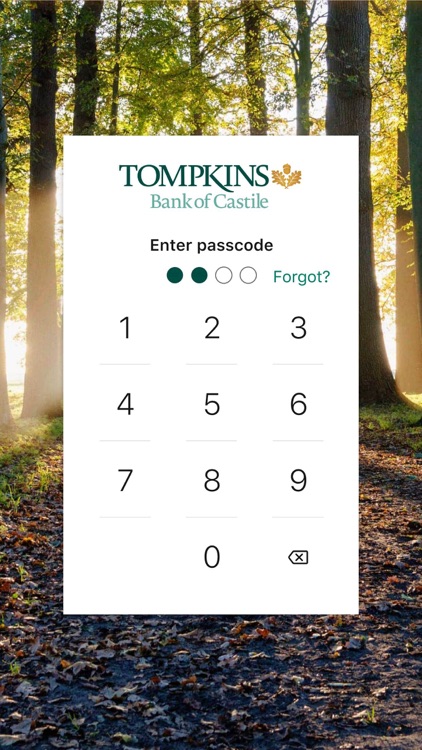 Bank of Castile Mobile screenshot-5