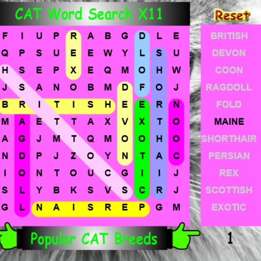 SLX Cat Word Search icon