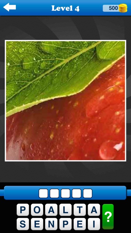 Guess the Close Up - Pics Quiz