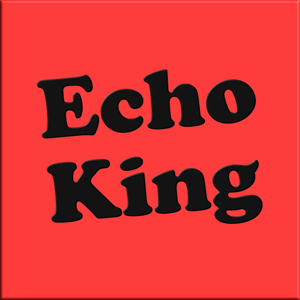 Echo King 攻略
