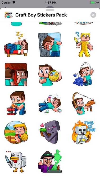 Craft Boy Stickers Pack