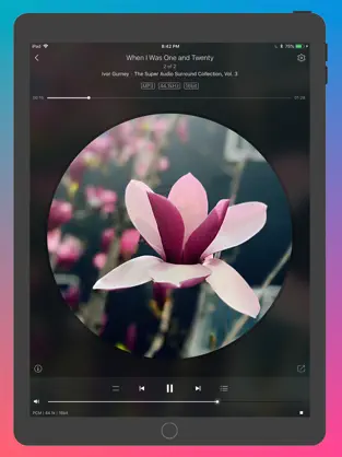 Screenshot 4 Ever Play - HiFi Music Player iphone
