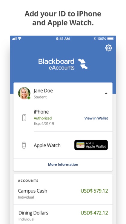 eAccounts Mobile screenshot-4