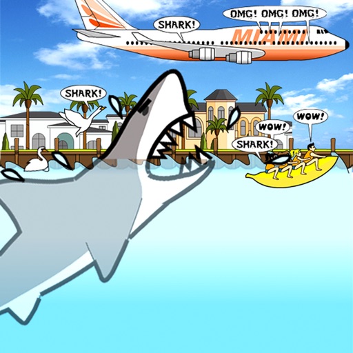 Don't Go In The Sky? Miami Shark