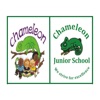 Chameleon School Group