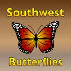 Butterflies of the Southwest