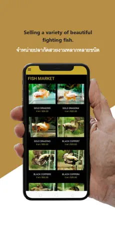 Captura 3 Goldenbetta iphone
