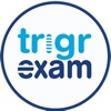 Trigrexam: Online Learning App