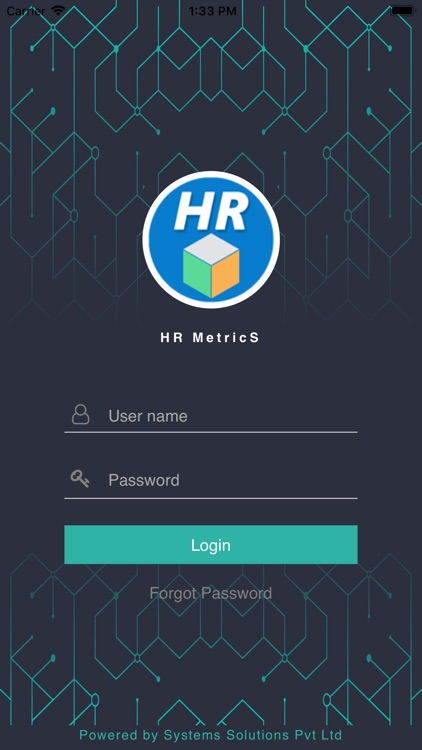 HR MetricS