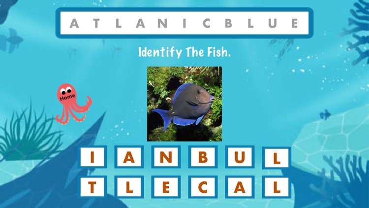 Identify The Fish screenshot-4