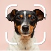 Icon Dog Selfie Camera Editor