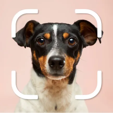 Dog Selfie Camera Editor Читы