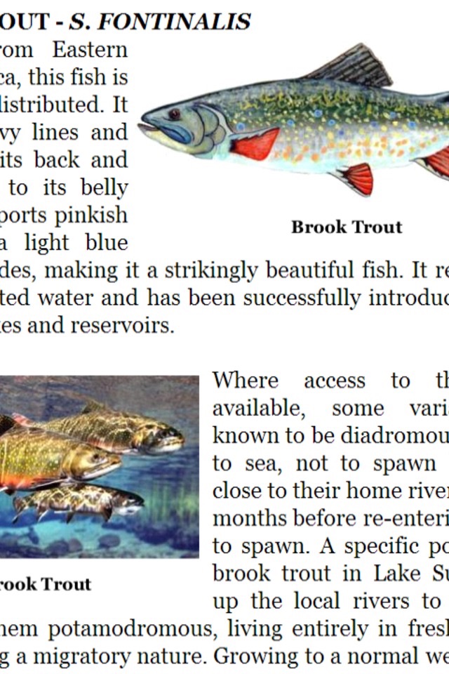 The Fly Fishing Encyclopedia screenshot 3