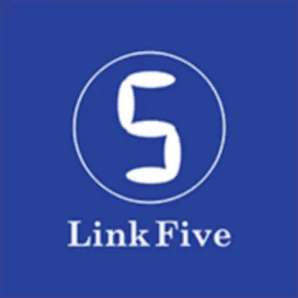 Link Five. Читы