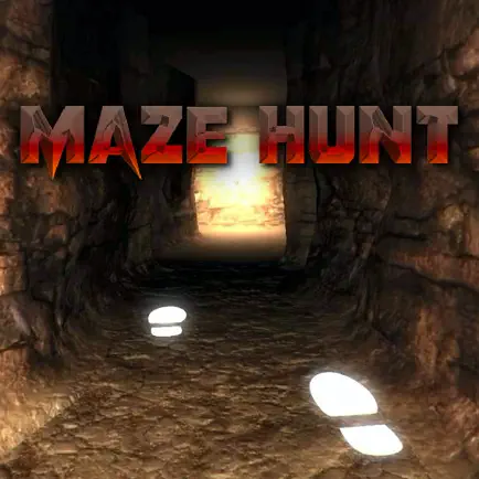 Ｍaze Hunt-3D迷宮尋寶 Читы