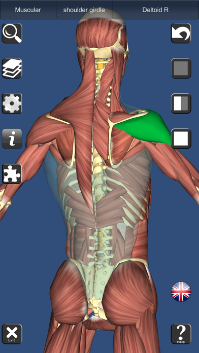 3D Anatomy Learning para PC - Descarga gratis [Windows 10;8;7 y Mac OS