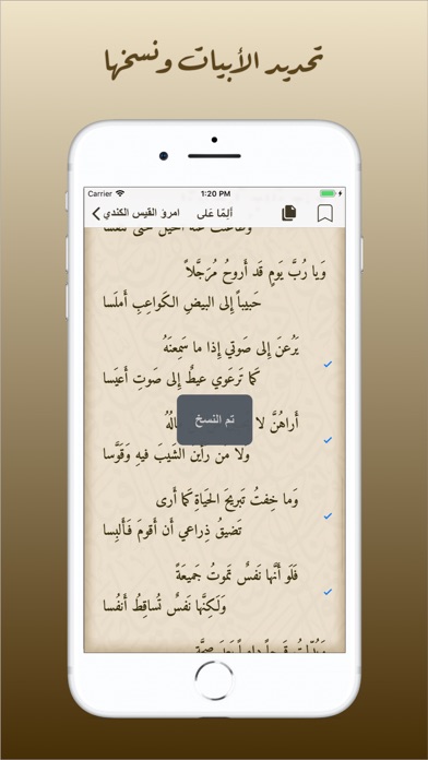ديوان العرب Screenshot 6