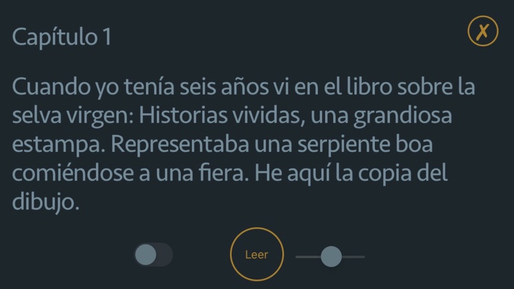 El Principito - Audiolibro screenshot-3