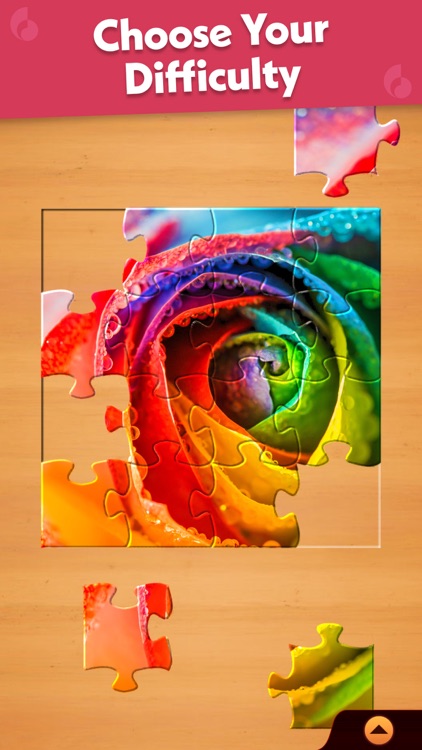 Jigsaw Puzzle Pro