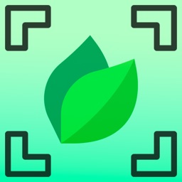 Plant by Leaf Identifier