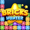 Bricks Hunter