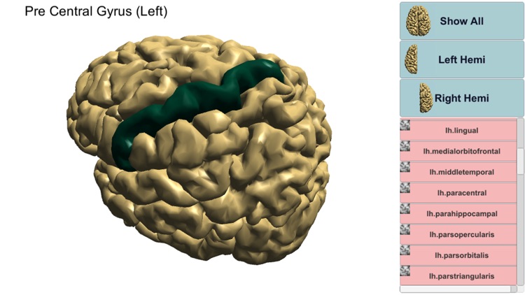 NeuroNavigator