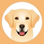 My Labrador Retriever