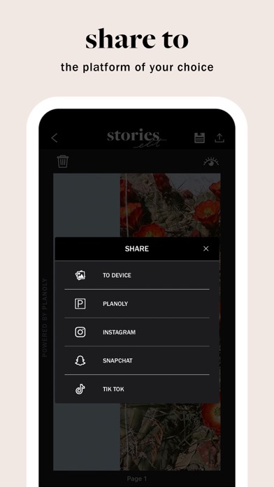 StoriesEdit - Stories Layouts screenshot 2