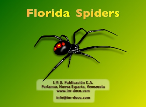 Florida Spiders - náhled