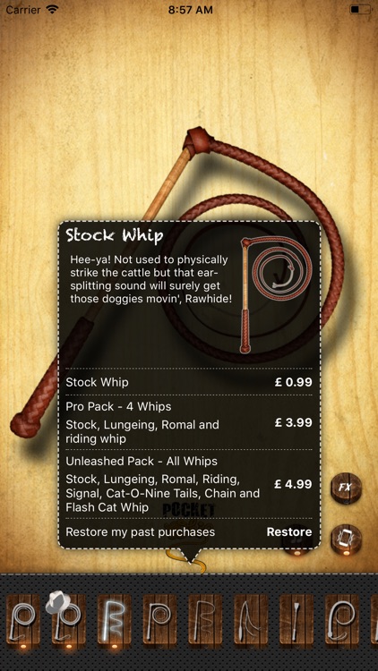 Pocket Whip screenshot-3