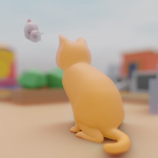 Cat's Dreams 3D