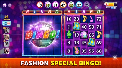 Bingodragon Bingodragon